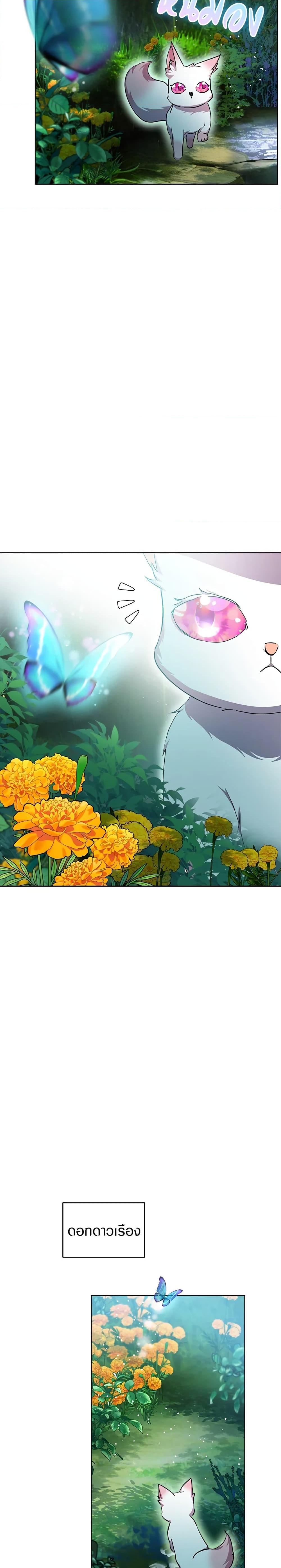 I Was Reincarnated as a Baby Fox God ฉันเกิดใหม่เป็นลูกสัตว์เทพ ตอนที่ 33 แปลไทย page 3