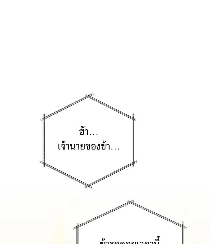 I Will Seduce the Male Lead for My Older Brother ฉันจะตามจีบพระเอกเพื่อพี่ชาย ตอนที่ 14 แปลไทย page 0
