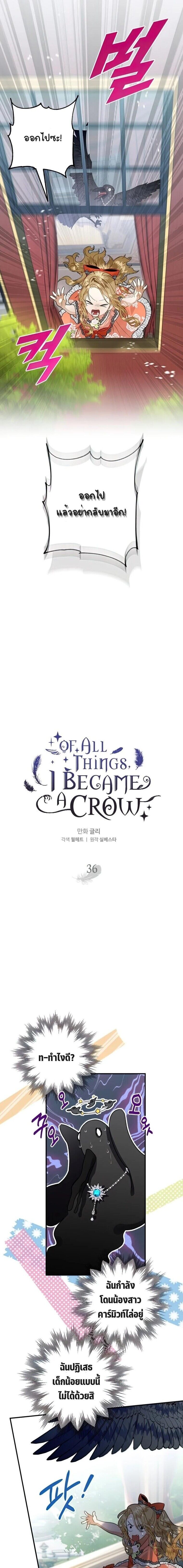 Of all things, I Became a Crow ตอนที่ 36 แปลไทย page 5