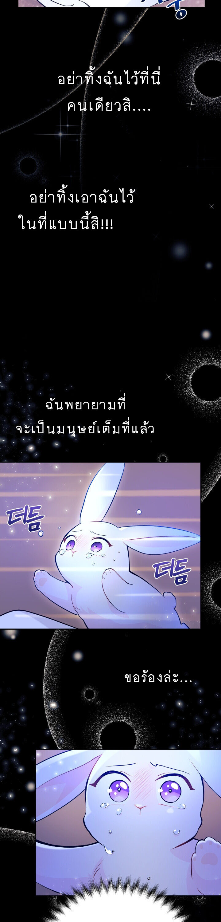 The Symbiotic Relationship Between a Panther and a Rabbit ภาวะพึ่งพาของเสือดำตัวร้ายกับกระต่ายตัวจิ๋ว ตอนที่ 1 แปลไทย page 7