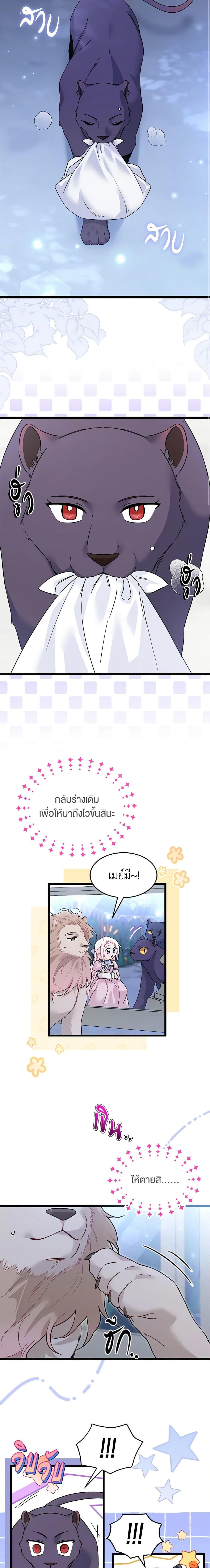 The Symbiotic Relationship Between a Panther and a Rabbit ภาวะพึ่งพาของเสือดำตัวร้ายกับกระต่ายตัวจิ๋ว ตอนที่ 107 แปลไทย page 9