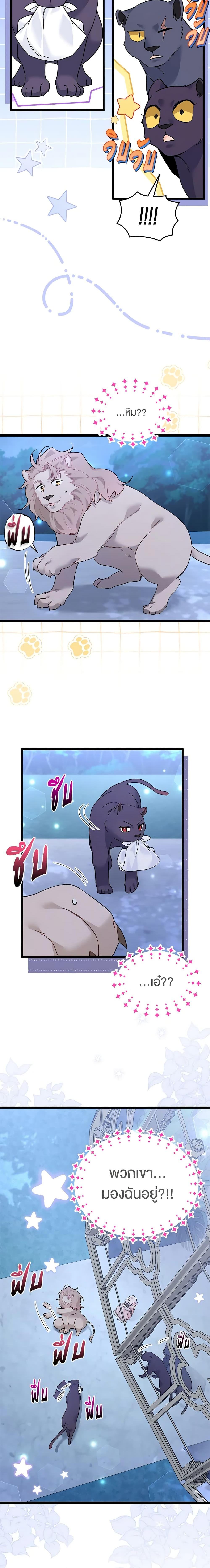 The Symbiotic Relationship Between a Panther and a Rabbit ภาวะพึ่งพาของเสือดำตัวร้ายกับกระต่ายตัวจิ๋ว ตอนที่ 107 แปลไทย page 10
