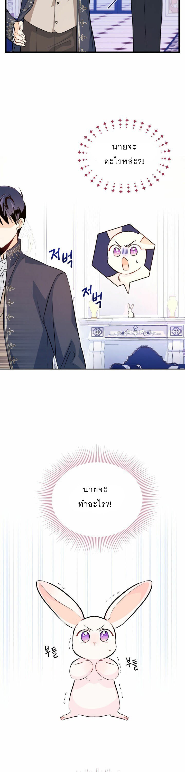 The Symbiotic Relationship Between a Panther and a Rabbit ภาวะพึ่งพาของเสือดำตัวร้ายกับกระต่ายตัวจิ๋ว ตอนที่ 11 แปลไทย page 15