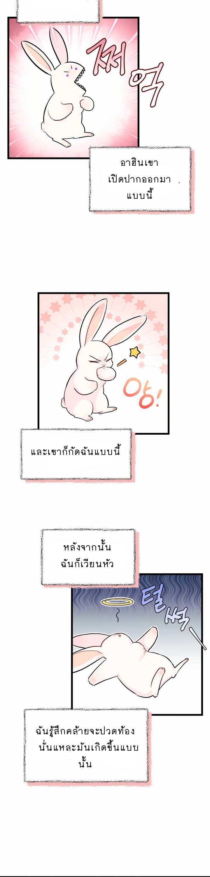 The Symbiotic Relationship Between a Panther and a Rabbit ภาวะพึ่งพาของเสือดำตัวร้ายกับกระต่ายตัวจิ๋ว ตอนที่ 11 แปลไทย page 19