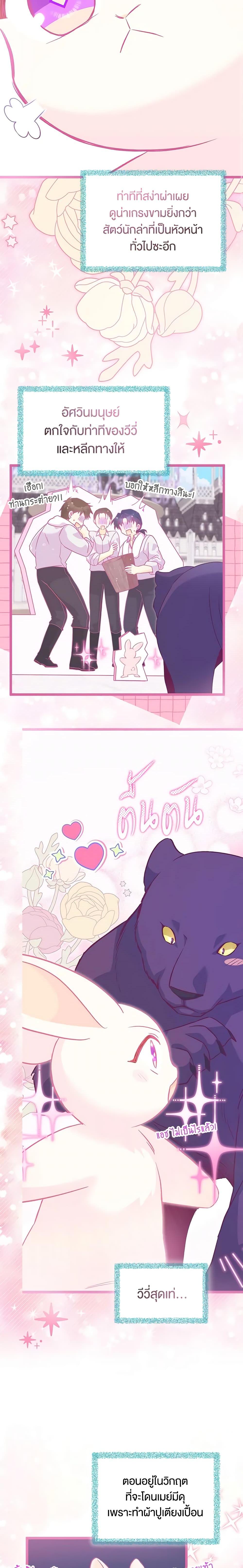 The Symbiotic Relationship Between a Panther and a Rabbit ภาวะพึ่งพาของเสือดำตัวร้ายกับกระต่ายตัวจิ๋ว ตอนที่ 121 แปลไทย page 11