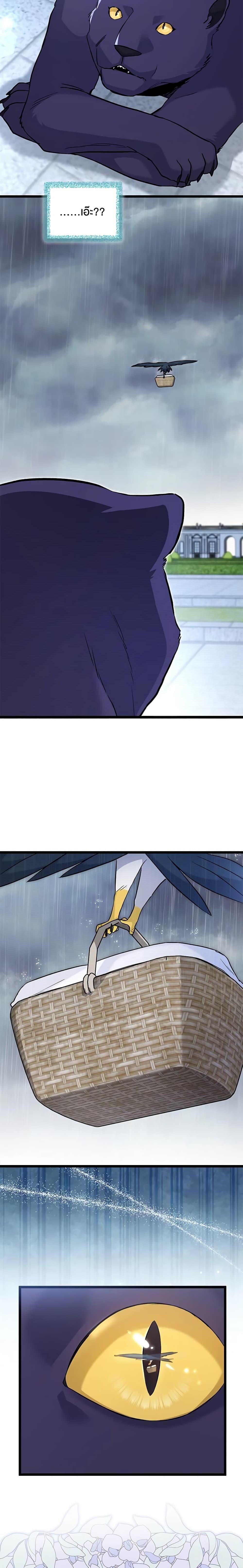 The Symbiotic Relationship Between a Panther and a Rabbit ภาวะพึ่งพาของเสือดำตัวร้ายกับกระต่ายตัวจิ๋ว ตอนที่ 121 แปลไทย page 14
