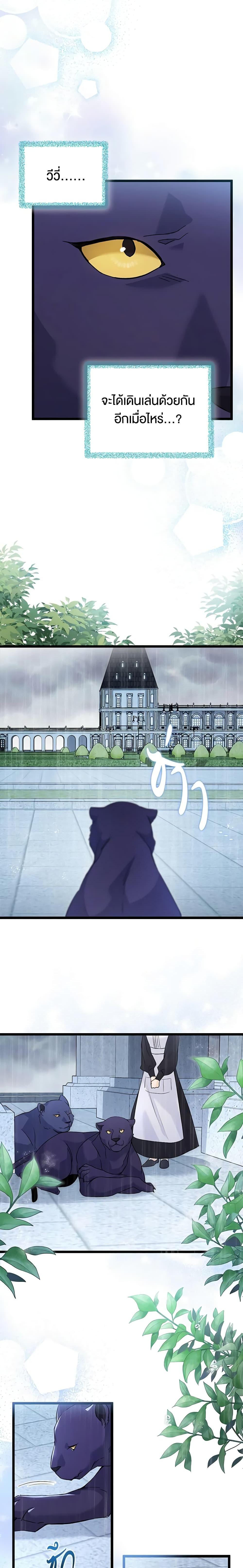 The Symbiotic Relationship Between a Panther and a Rabbit ภาวะพึ่งพาของเสือดำตัวร้ายกับกระต่ายตัวจิ๋ว ตอนที่ 121 แปลไทย page 8