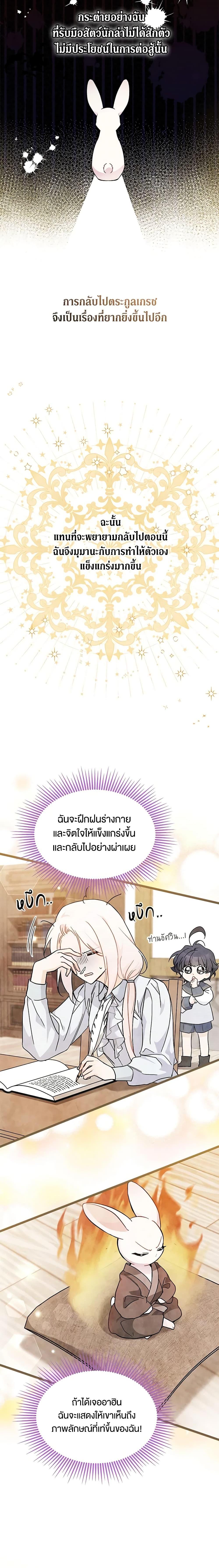 The Symbiotic Relationship Between a Panther and a Rabbit ภาวะพึ่งพาของเสือดำตัวร้ายกับกระต่ายตัวจิ๋ว ตอนที่ 127 แปลไทย page 2