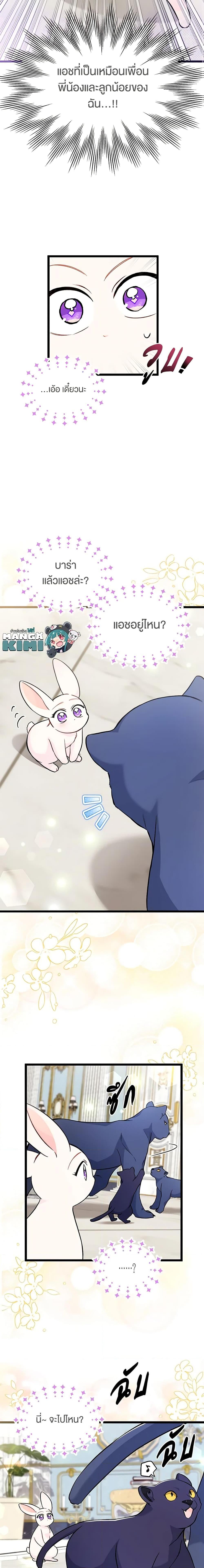 The Symbiotic Relationship Between a Panther and a Rabbit ภาวะพึ่งพาของเสือดำตัวร้ายกับกระต่ายตัวจิ๋ว ตอนที่ 134 แปลไทย page 9