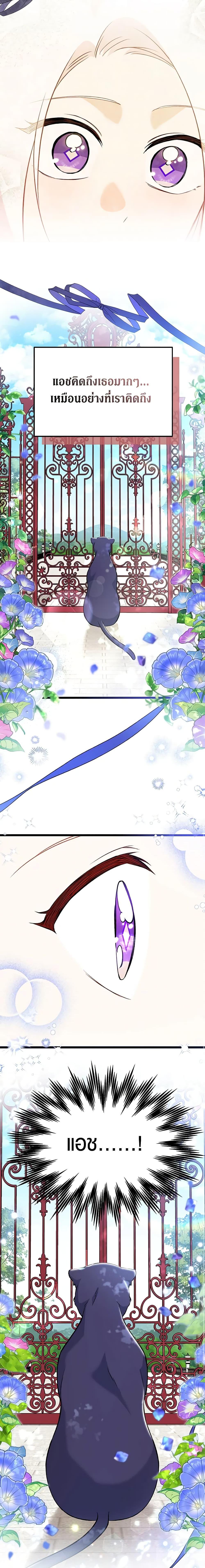 The Symbiotic Relationship Between a Panther and a Rabbit ภาวะพึ่งพาของเสือดำตัวร้ายกับกระต่ายตัวจิ๋ว ตอนที่ 134 แปลไทย page 14