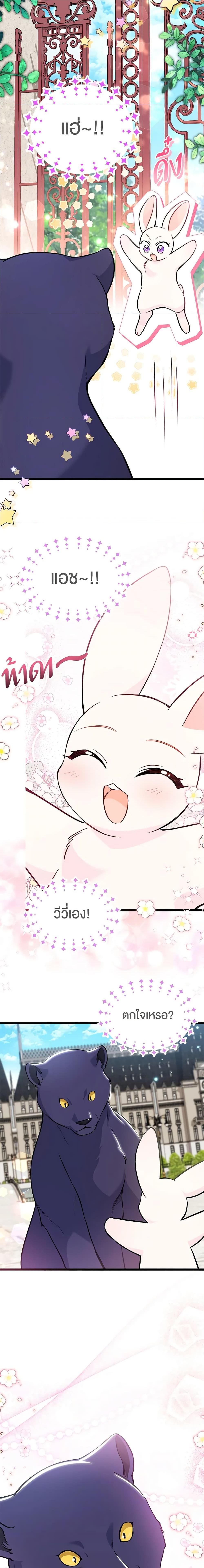 The Symbiotic Relationship Between a Panther and a Rabbit ภาวะพึ่งพาของเสือดำตัวร้ายกับกระต่ายตัวจิ๋ว ตอนที่ 134 แปลไทย page 16