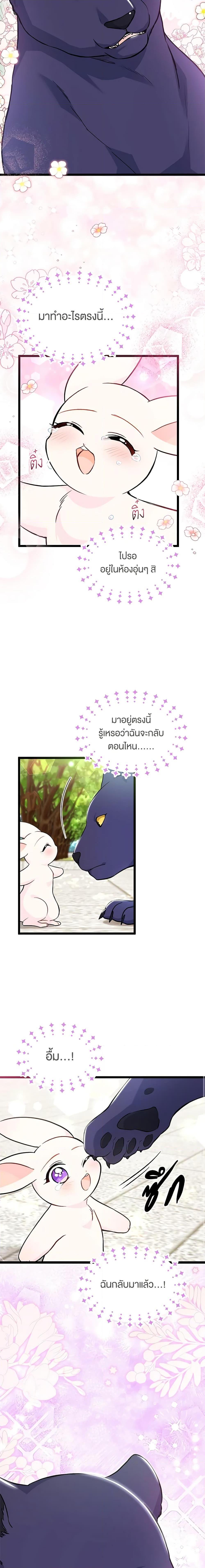 The Symbiotic Relationship Between a Panther and a Rabbit ภาวะพึ่งพาของเสือดำตัวร้ายกับกระต่ายตัวจิ๋ว ตอนที่ 134 แปลไทย page 17
