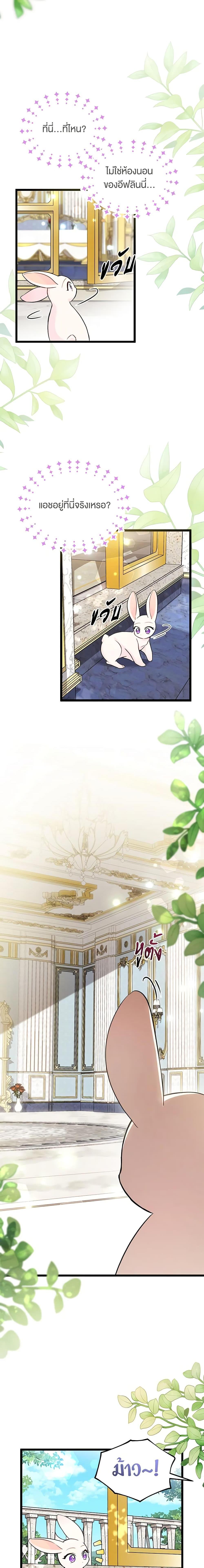 The Symbiotic Relationship Between a Panther and a Rabbit ภาวะพึ่งพาของเสือดำตัวร้ายกับกระต่ายตัวจิ๋ว ตอนที่ 134 แปลไทย page 1