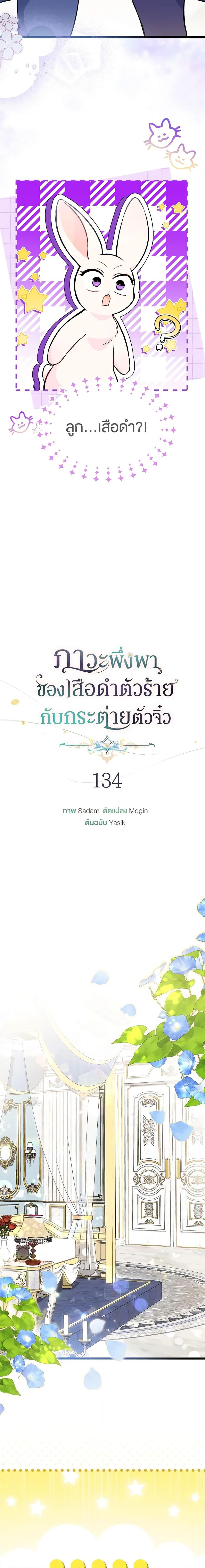 The Symbiotic Relationship Between a Panther and a Rabbit ภาวะพึ่งพาของเสือดำตัวร้ายกับกระต่ายตัวจิ๋ว ตอนที่ 134 แปลไทย page 3