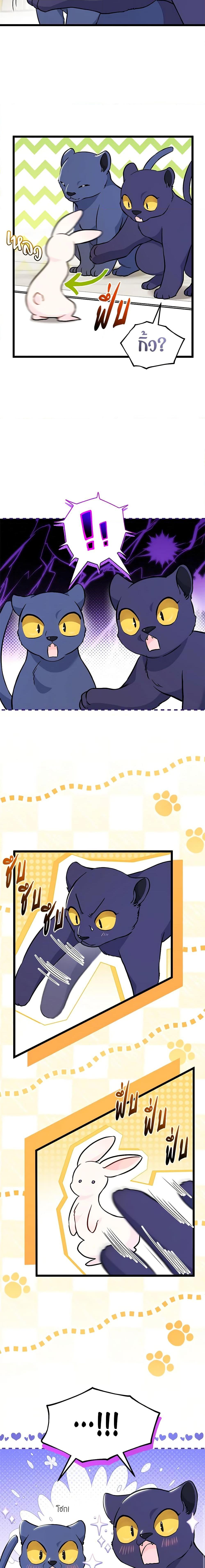 The Symbiotic Relationship Between a Panther and a Rabbit ภาวะพึ่งพาของเสือดำตัวร้ายกับกระต่ายตัวจิ๋ว ตอนที่ 134 แปลไทย page 5