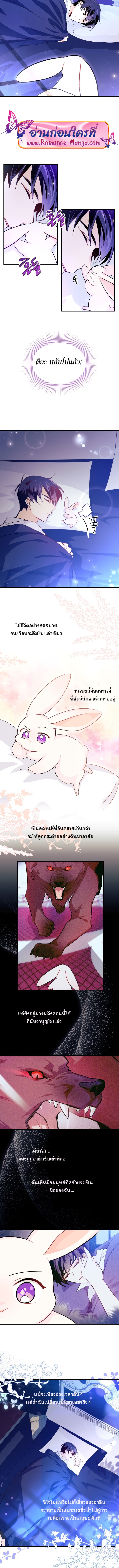 The Symbiotic Relationship Between a Panther and a Rabbit ภาวะพึ่งพาของเสือดำตัวร้ายกับกระต่ายตัวจิ๋ว ตอนที่ 16 แปลไทย page 4
