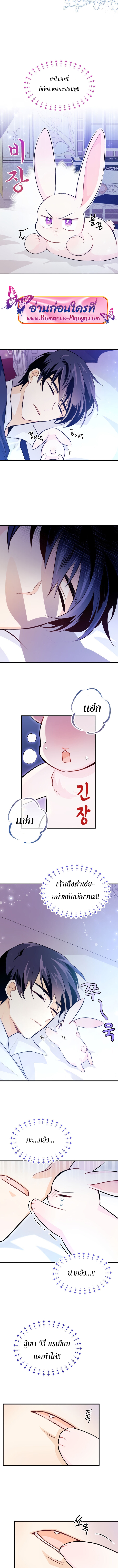 The Symbiotic Relationship Between a Panther and a Rabbit ภาวะพึ่งพาของเสือดำตัวร้ายกับกระต่ายตัวจิ๋ว ตอนที่ 16 แปลไทย page 5