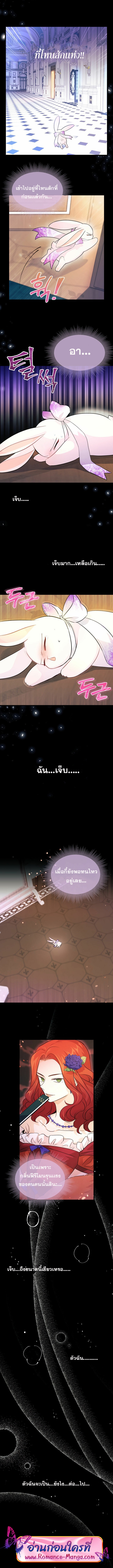 The Symbiotic Relationship Between a Panther and a Rabbit ภาวะพึ่งพาของเสือดำตัวร้ายกับกระต่ายตัวจิ๋ว ตอนที่ 19 แปลไทย page 1