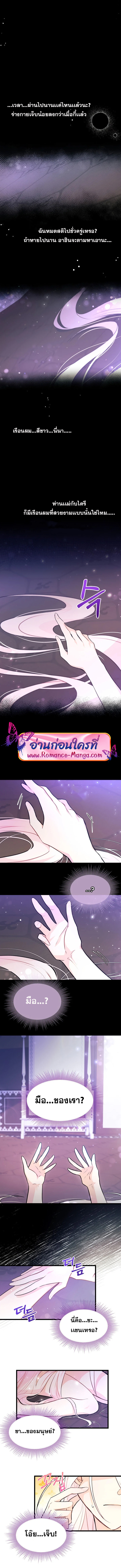 The Symbiotic Relationship Between a Panther and a Rabbit ภาวะพึ่งพาของเสือดำตัวร้ายกับกระต่ายตัวจิ๋ว ตอนที่ 19 แปลไทย page 2