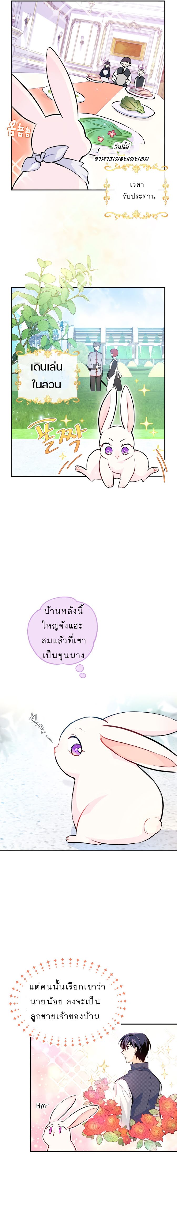The Symbiotic Relationship Between a Panther and a Rabbit ภาวะพึ่งพาของเสือดำตัวร้ายกับกระต่ายตัวจิ๋ว ตอนที่ 3 แปลไทย page 12