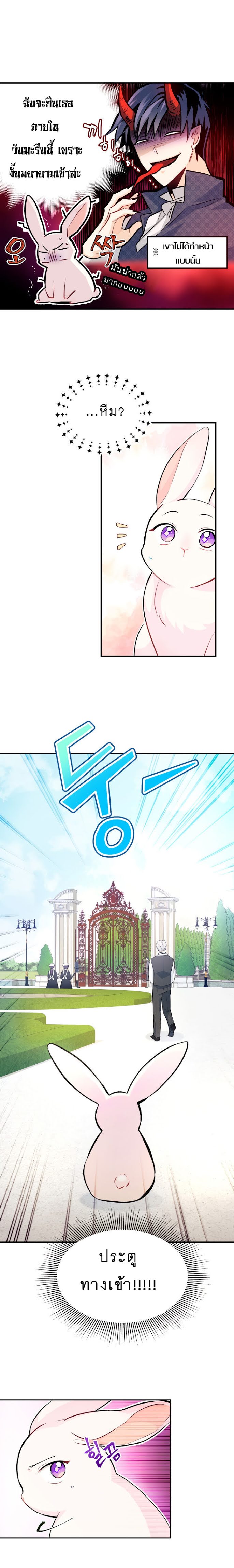 The Symbiotic Relationship Between a Panther and a Rabbit ภาวะพึ่งพาของเสือดำตัวร้ายกับกระต่ายตัวจิ๋ว ตอนที่ 3 แปลไทย page 13