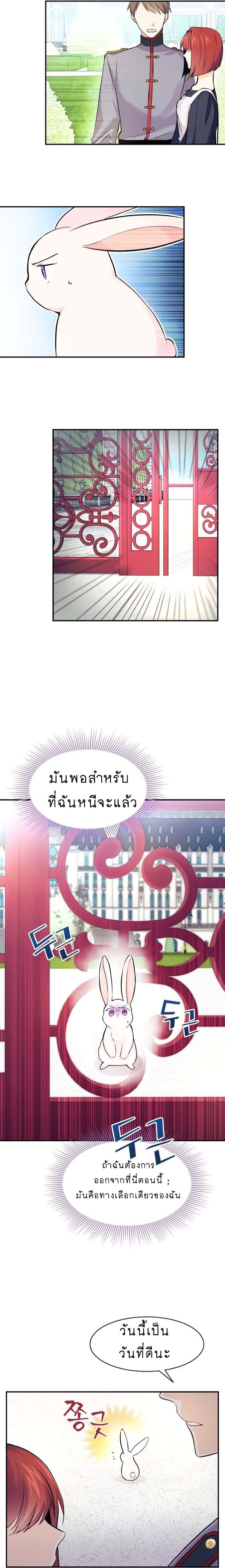 The Symbiotic Relationship Between a Panther and a Rabbit ภาวะพึ่งพาของเสือดำตัวร้ายกับกระต่ายตัวจิ๋ว ตอนที่ 3 แปลไทย page 14