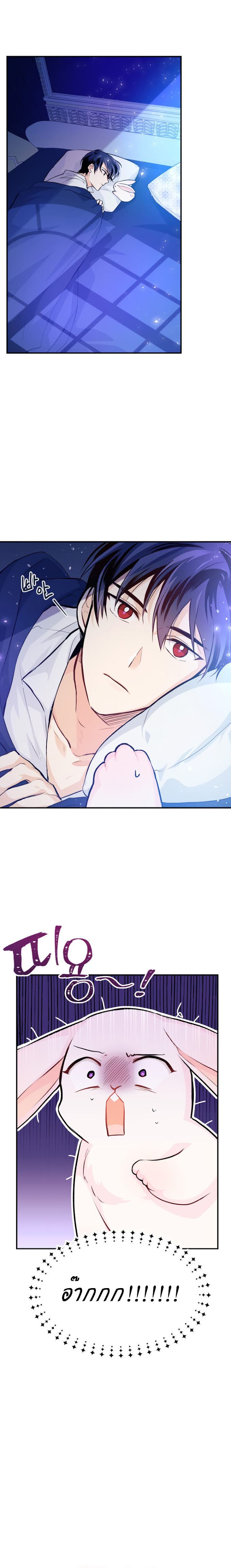 The Symbiotic Relationship Between a Panther and a Rabbit ภาวะพึ่งพาของเสือดำตัวร้ายกับกระต่ายตัวจิ๋ว ตอนที่ 3 แปลไทย page 1