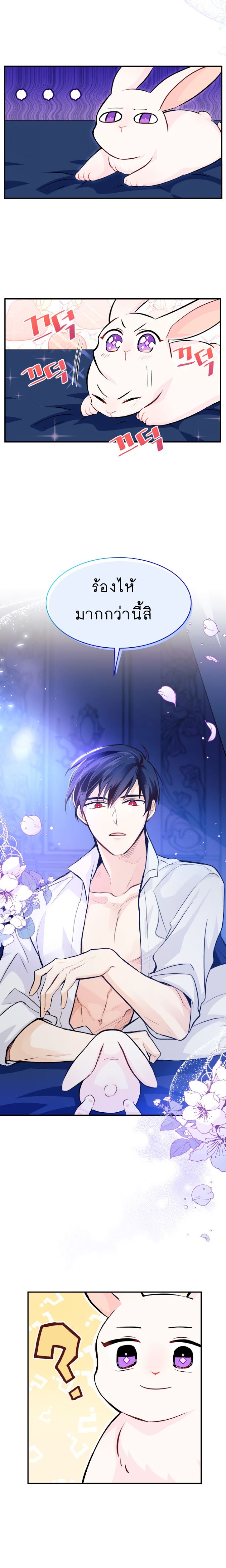 The Symbiotic Relationship Between a Panther and a Rabbit ภาวะพึ่งพาของเสือดำตัวร้ายกับกระต่ายตัวจิ๋ว ตอนที่ 3 แปลไทย page 5