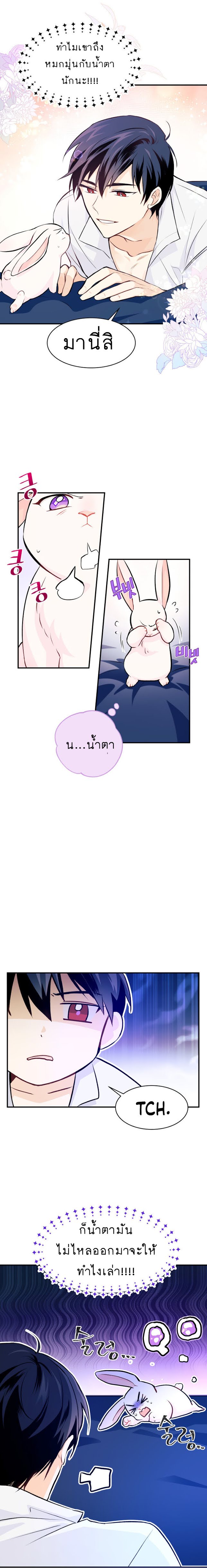 The Symbiotic Relationship Between a Panther and a Rabbit ภาวะพึ่งพาของเสือดำตัวร้ายกับกระต่ายตัวจิ๋ว ตอนที่ 3 แปลไทย page 6