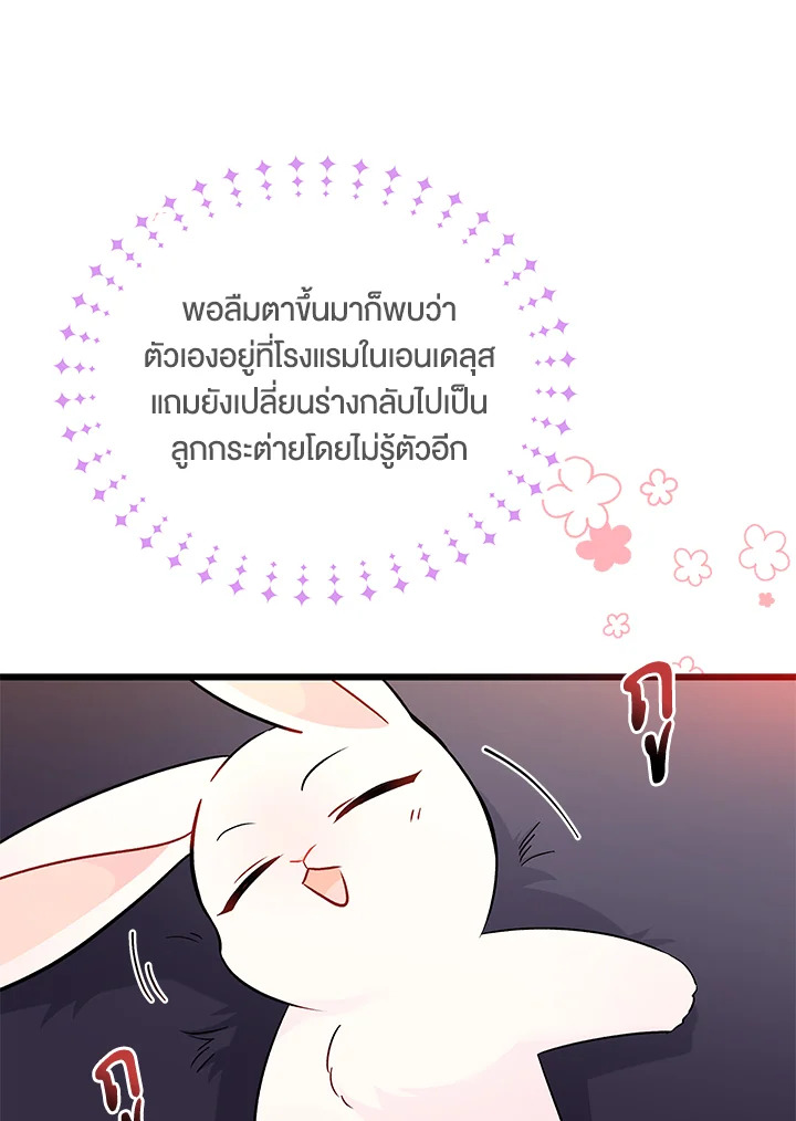The Symbiotic Relationship Between a Panther and a Rabbit ภาวะพึ่งพาของเสือดำตัวร้ายกับกระต่ายตัวจิ๋ว ตอนที่ 32 แปลไทย page 33