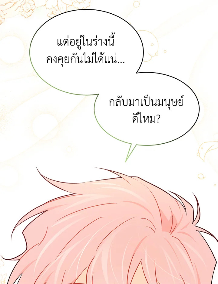 The Symbiotic Relationship Between a Panther and a Rabbit ภาวะพึ่งพาของเสือดำตัวร้ายกับกระต่ายตัวจิ๋ว ตอนที่ 32 แปลไทย page 72