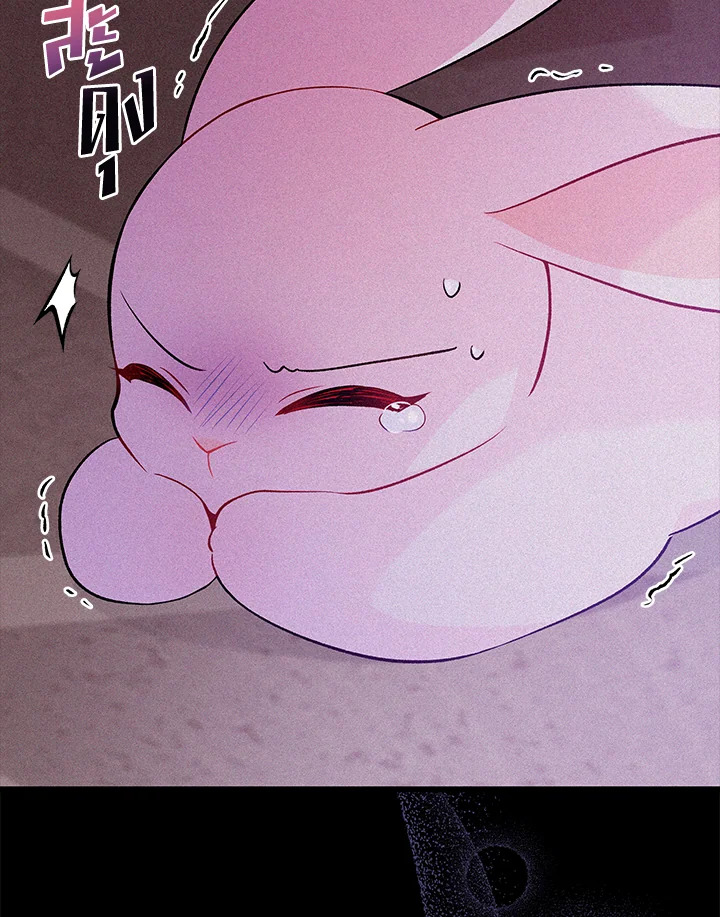 The Symbiotic Relationship Between a Panther and a Rabbit ภาวะพึ่งพาของเสือดำตัวร้ายกับกระต่ายตัวจิ๋ว ตอนที่ 39 แปลไทย page 15