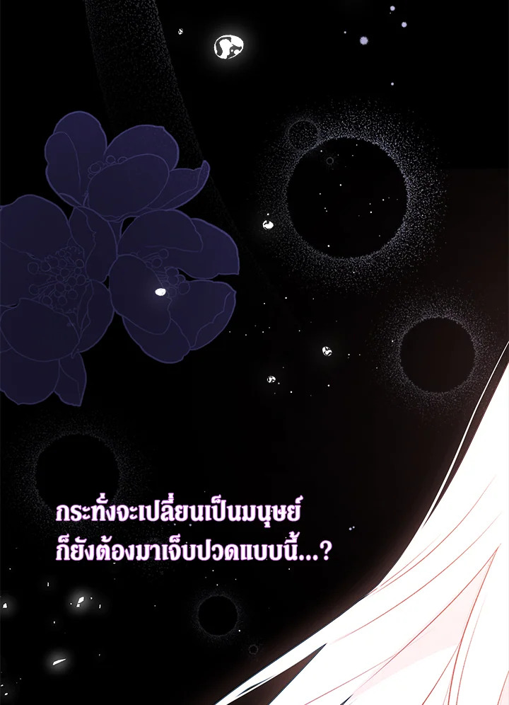 The Symbiotic Relationship Between a Panther and a Rabbit ภาวะพึ่งพาของเสือดำตัวร้ายกับกระต่ายตัวจิ๋ว ตอนที่ 39 แปลไทย page 29