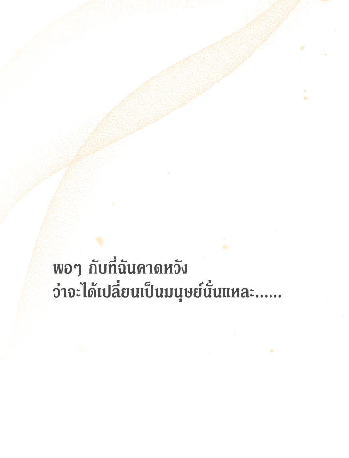 The Symbiotic Relationship Between a Panther and a Rabbit ภาวะพึ่งพาของเสือดำตัวร้ายกับกระต่ายตัวจิ๋ว ตอนที่ 44 แปลไทย page 111
