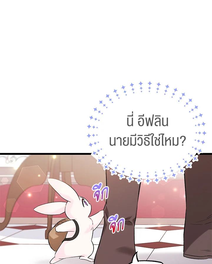 The Symbiotic Relationship Between a Panther and a Rabbit ภาวะพึ่งพาของเสือดำตัวร้ายกับกระต่ายตัวจิ๋ว ตอนที่ 59 แปลไทย page 37