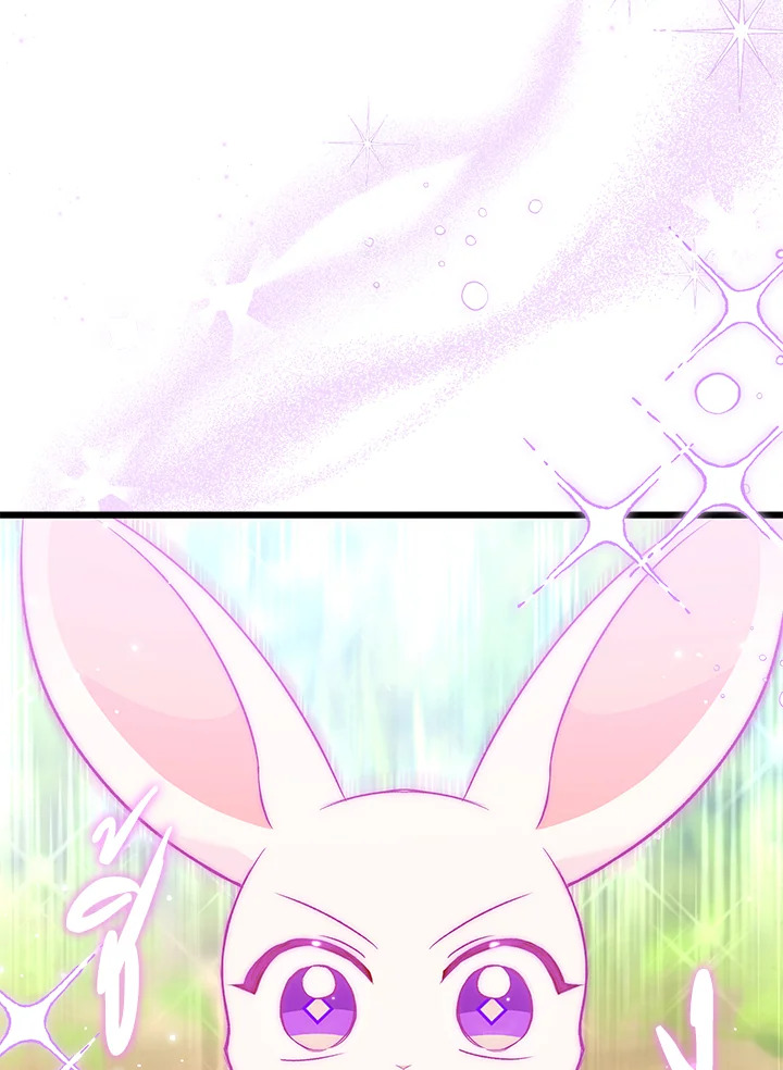 The Symbiotic Relationship Between a Panther and a Rabbit ภาวะพึ่งพาของเสือดำตัวร้ายกับกระต่ายตัวจิ๋ว ตอนที่ 61 แปลไทย page 13