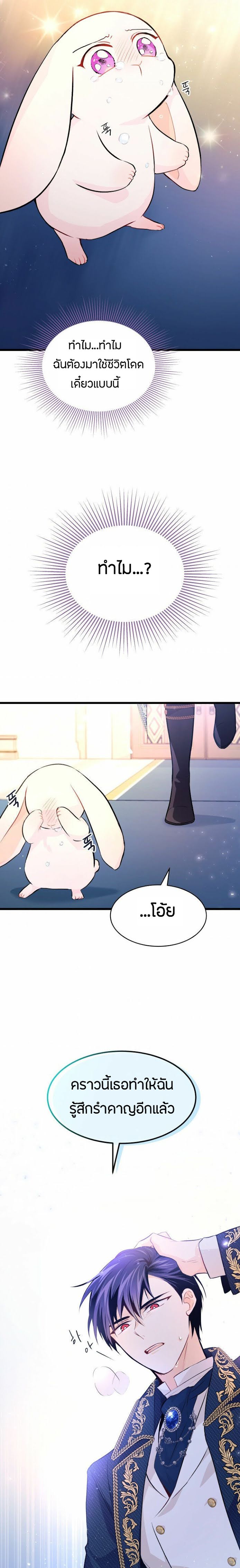 The Symbiotic Relationship Between a Panther and a Rabbit ภาวะพึ่งพาของเสือดำตัวร้ายกับกระต่ายตัวจิ๋ว ตอนที่ 7 แปลไทย page 16