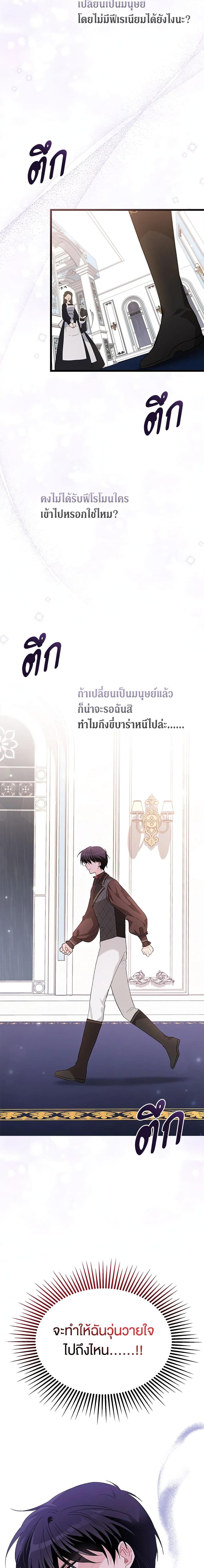 The Symbiotic Relationship Between a Panther and a Rabbit ภาวะพึ่งพาของเสือดำตัวร้ายกับกระต่ายตัวจิ๋ว ตอนที่ 86 แปลไทย page 15