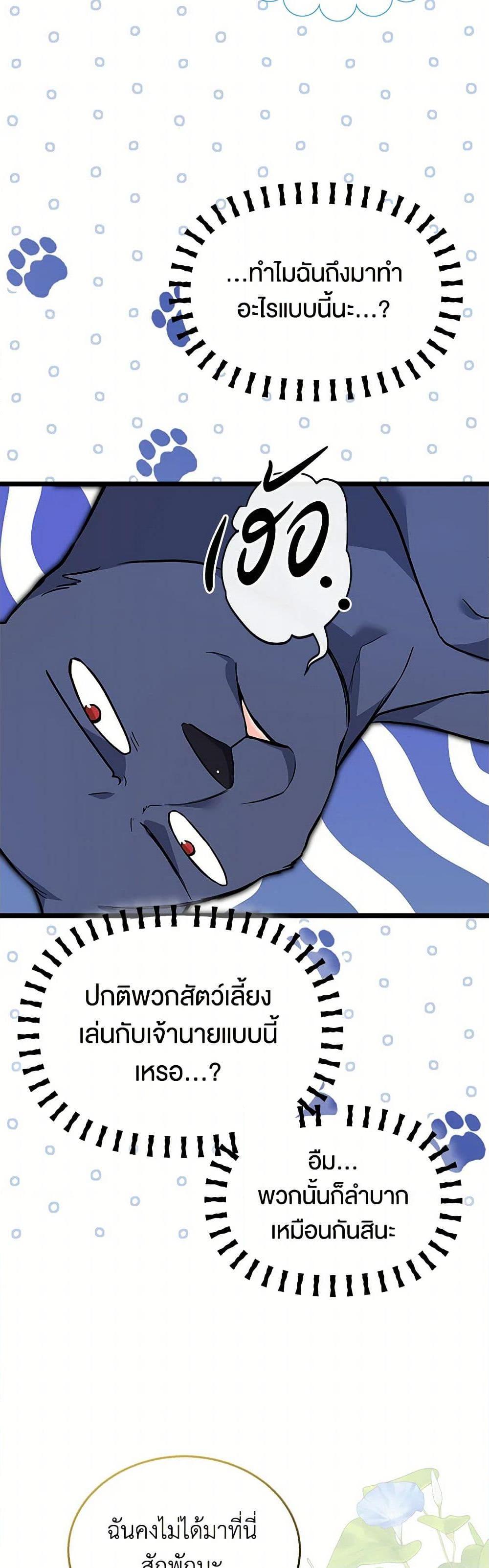 The Symbiotic Relationship Between a Panther and a Rabbit ภาวะพึ่งพาของเสือดำตัวร้ายกับกระต่ายตัวจิ๋ว ตอนที่ 153 แปลไทย page 16