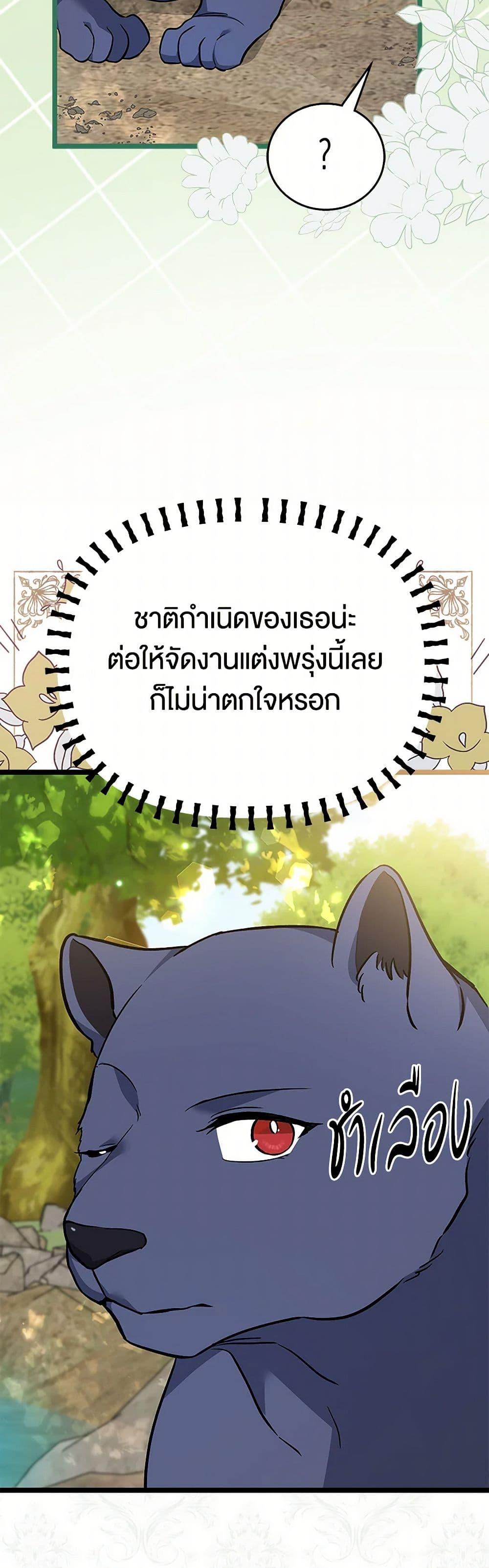 The Symbiotic Relationship Between a Panther and a Rabbit ภาวะพึ่งพาของเสือดำตัวร้ายกับกระต่ายตัวจิ๋ว ตอนที่ 153 แปลไทย page 20