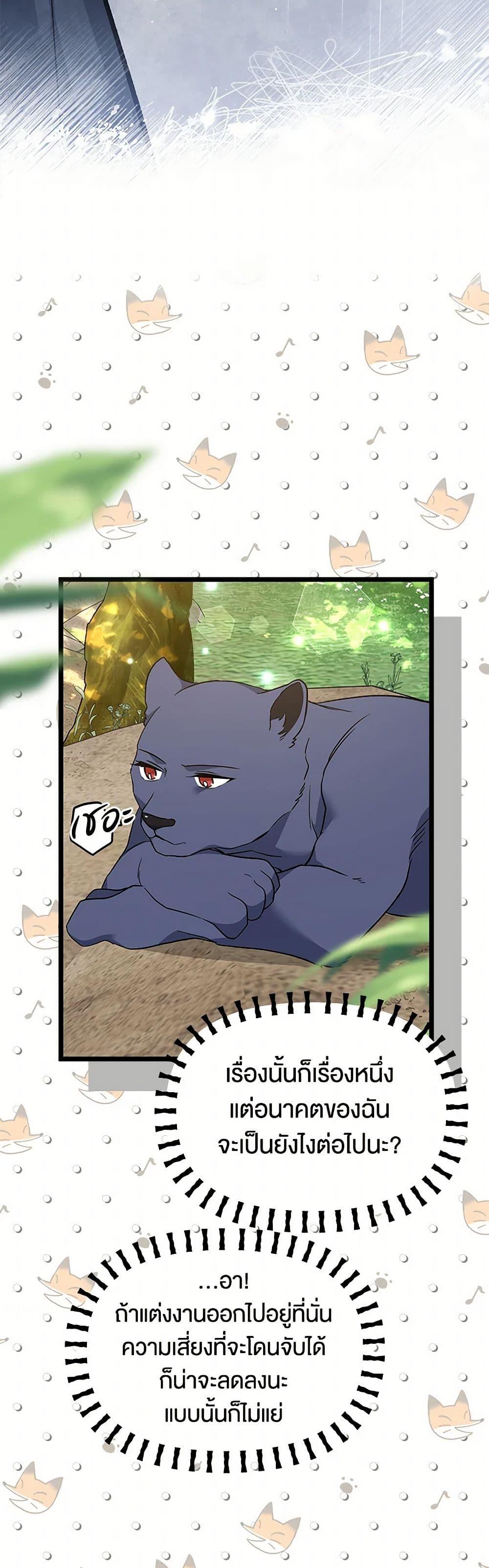 The Symbiotic Relationship Between a Panther and a Rabbit ภาวะพึ่งพาของเสือดำตัวร้ายกับกระต่ายตัวจิ๋ว ตอนที่ 153 แปลไทย page 25
