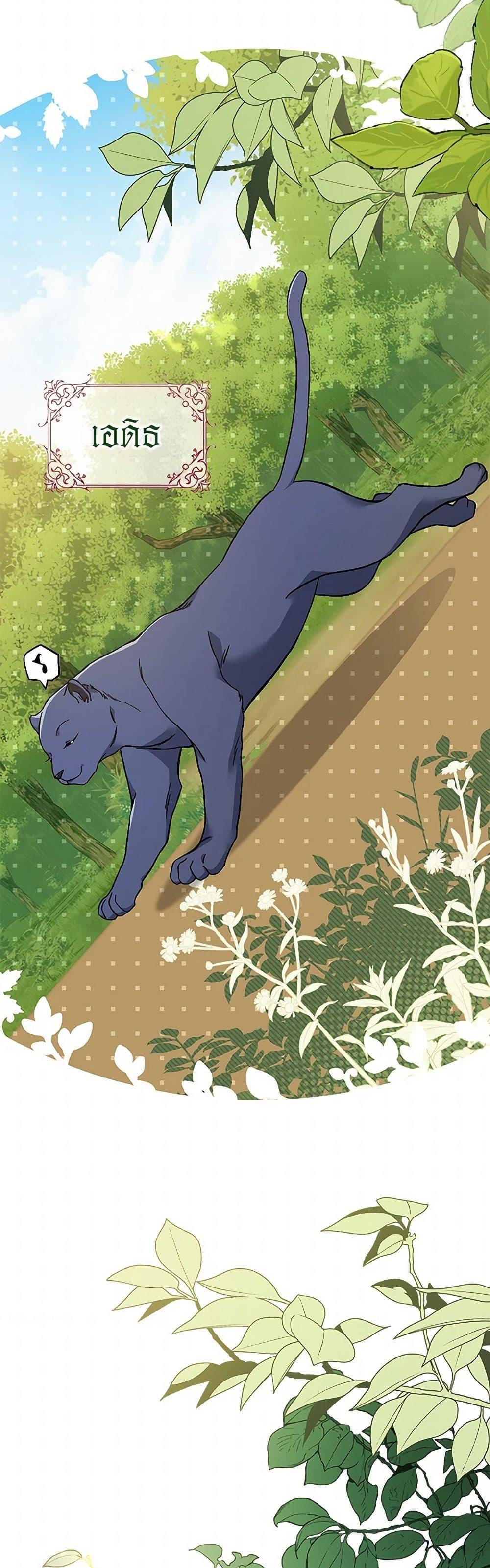 The Symbiotic Relationship Between a Panther and a Rabbit ภาวะพึ่งพาของเสือดำตัวร้ายกับกระต่ายตัวจิ๋ว ตอนที่ 153 แปลไทย page 3