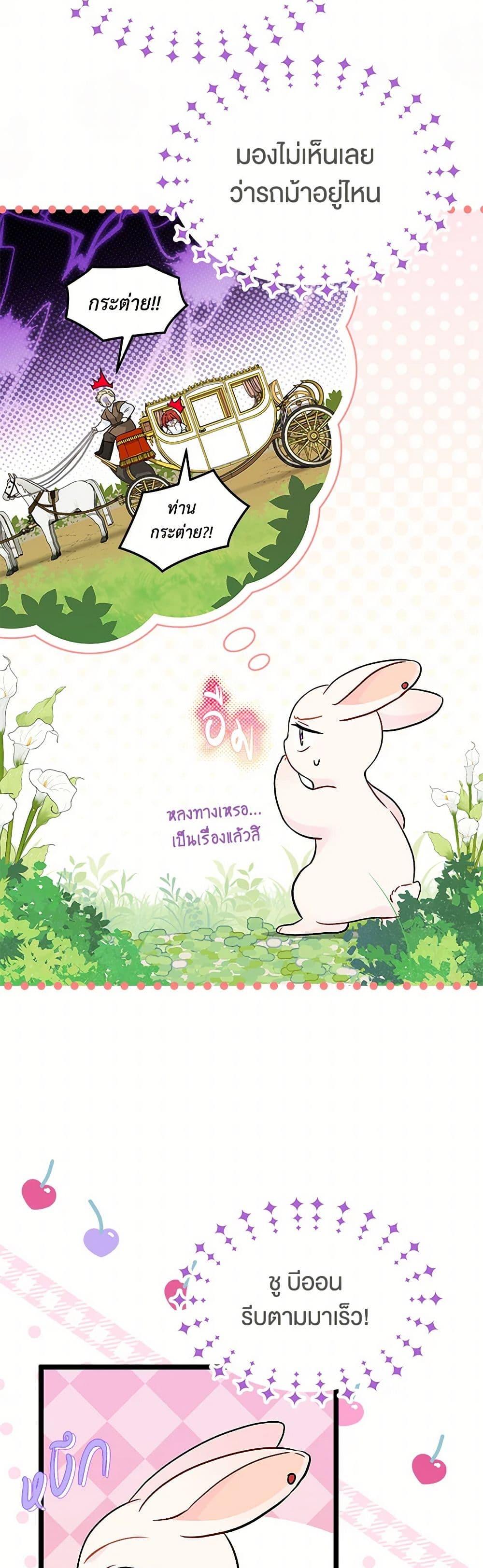 The Symbiotic Relationship Between a Panther and a Rabbit ภาวะพึ่งพาของเสือดำตัวร้ายกับกระต่ายตัวจิ๋ว ตอนที่ 155 แปลไทย page 16