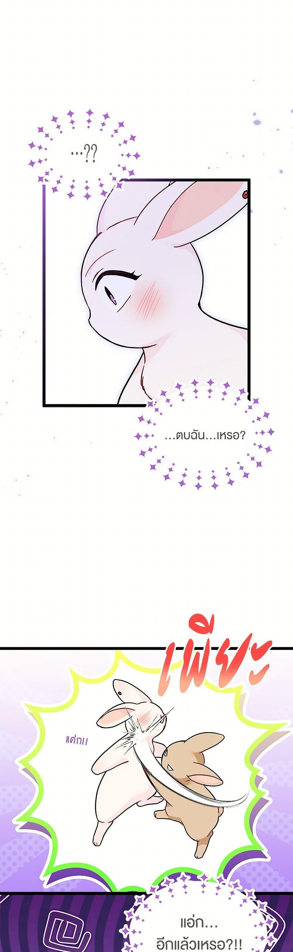 The Symbiotic Relationship Between a Panther and a Rabbit ภาวะพึ่งพาของเสือดำตัวร้ายกับกระต่ายตัวจิ๋ว ตอนที่ 155 แปลไทย page 23