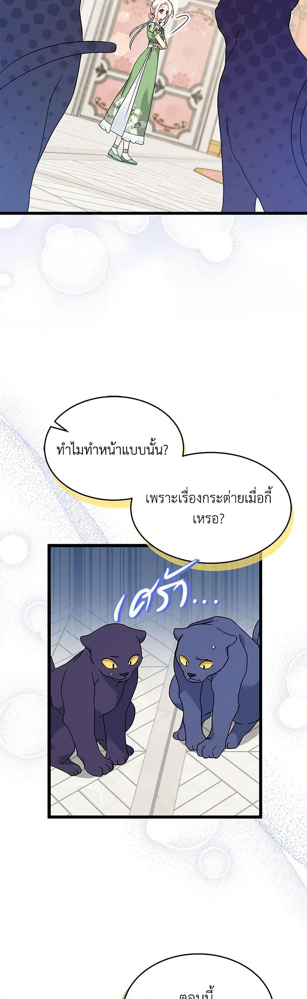 The Symbiotic Relationship Between a Panther and a Rabbit ภาวะพึ่งพาของเสือดำตัวร้ายกับกระต่ายตัวจิ๋ว ตอนที่ 155 แปลไทย page 35