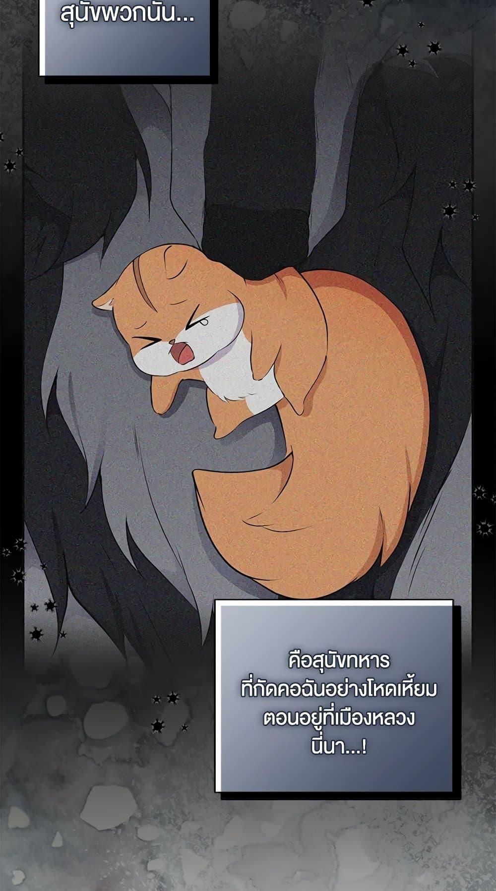 Baby Squirrel Is Good at Everything กระรอกน้อยเก่งกาจทุกอย่างเลย ตอนที่ 30 แปลไทย page 4